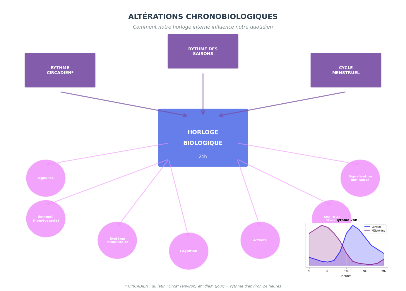 Graphique chronobiologie 24h